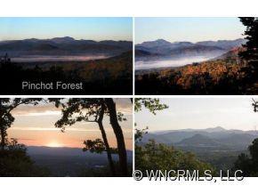 000000 Pinchot Forest Asheville NC 28803