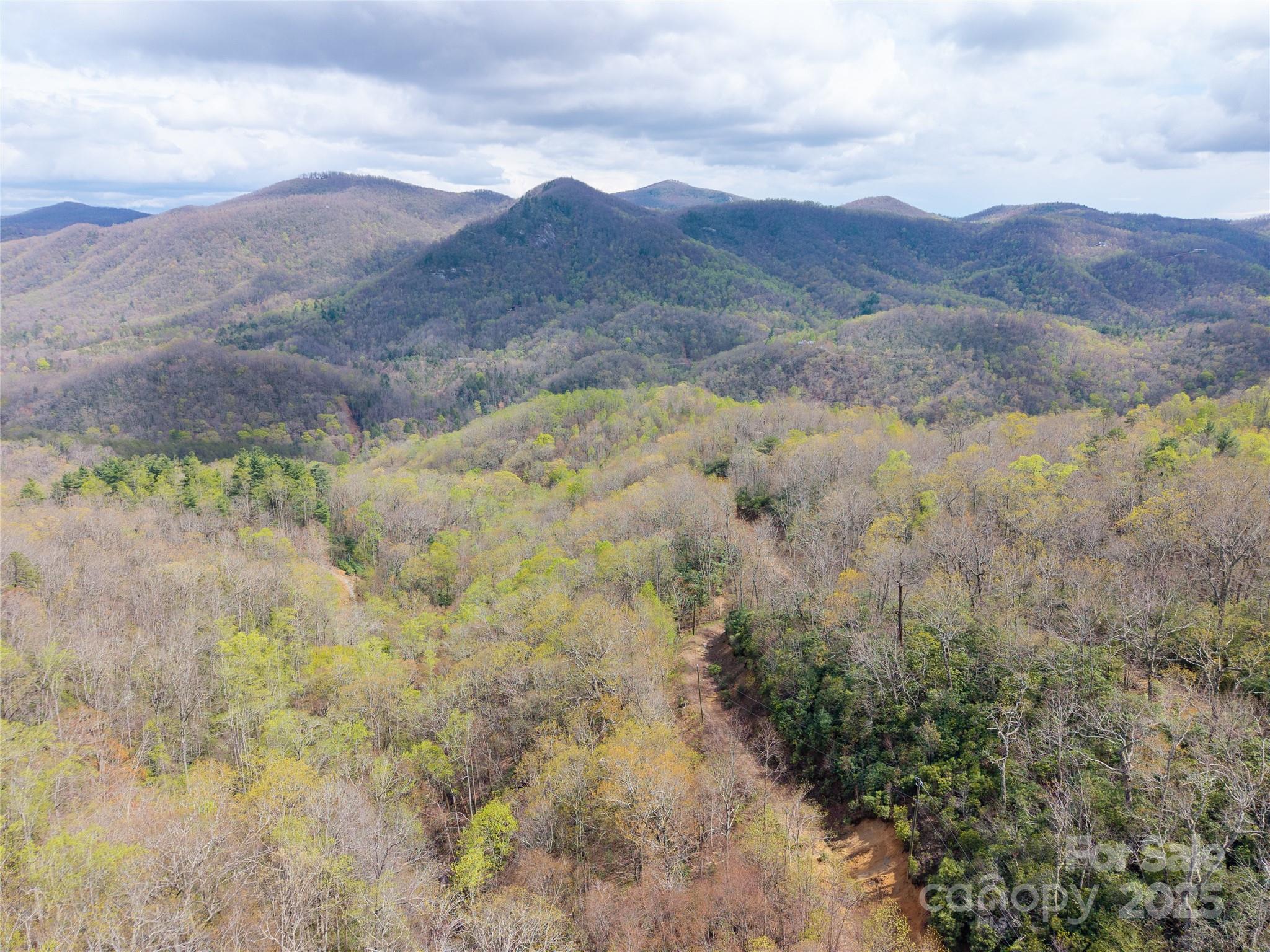 000 Nc 9 Highway Fairview NC 28730