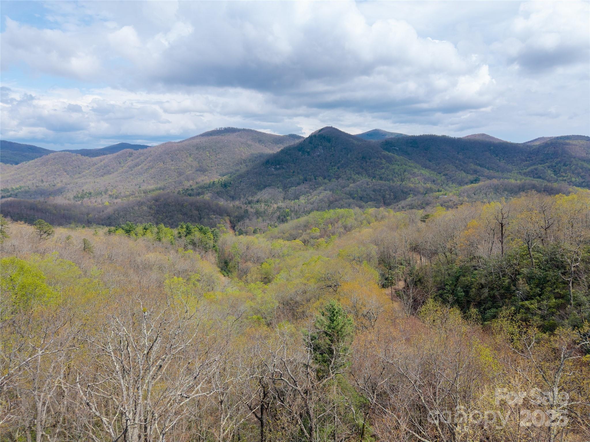 000 Nc 9 Highway Fairview NC 28730