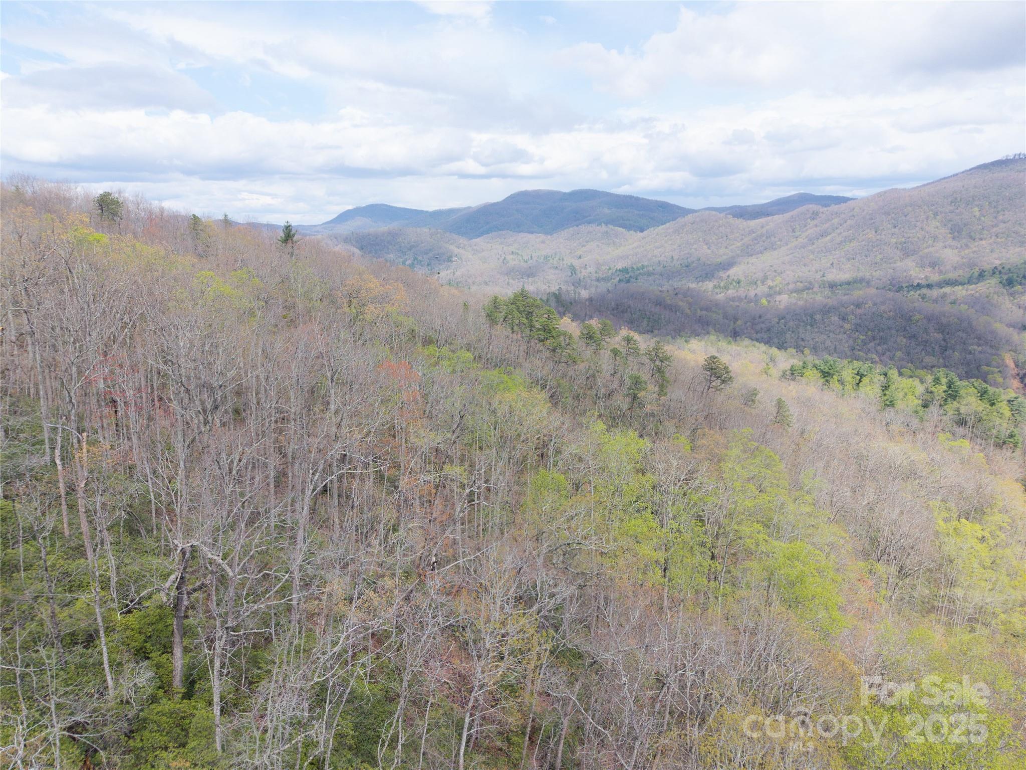 000 Nc 9 Highway Fairview NC 28730