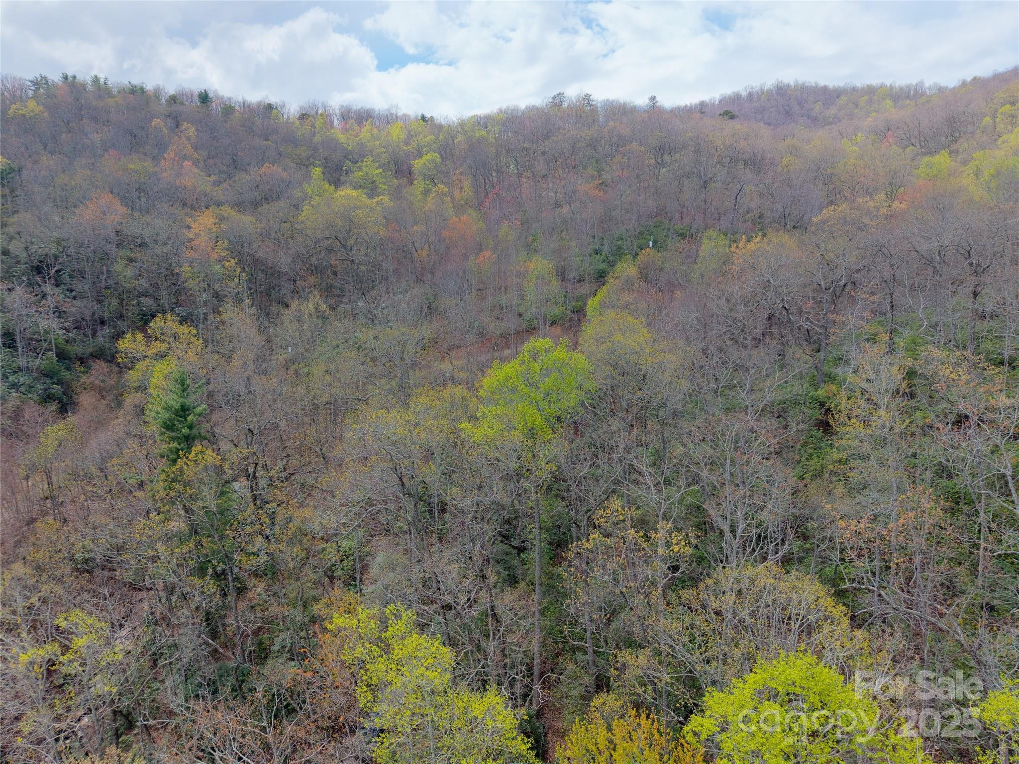 000 Nc 9 Highway Fairview NC 28730