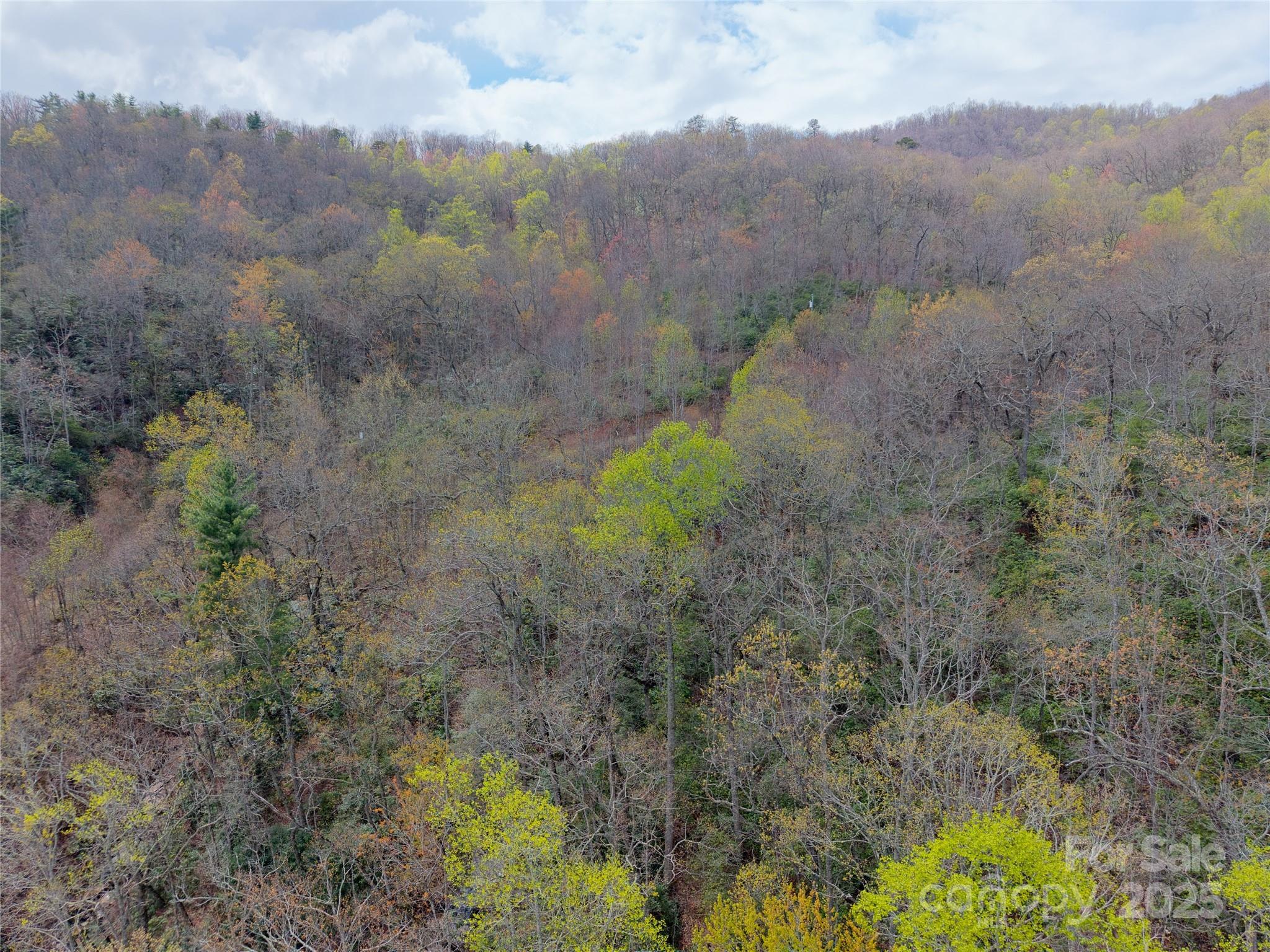 000 Nc 9 Highway Fairview NC 28730
