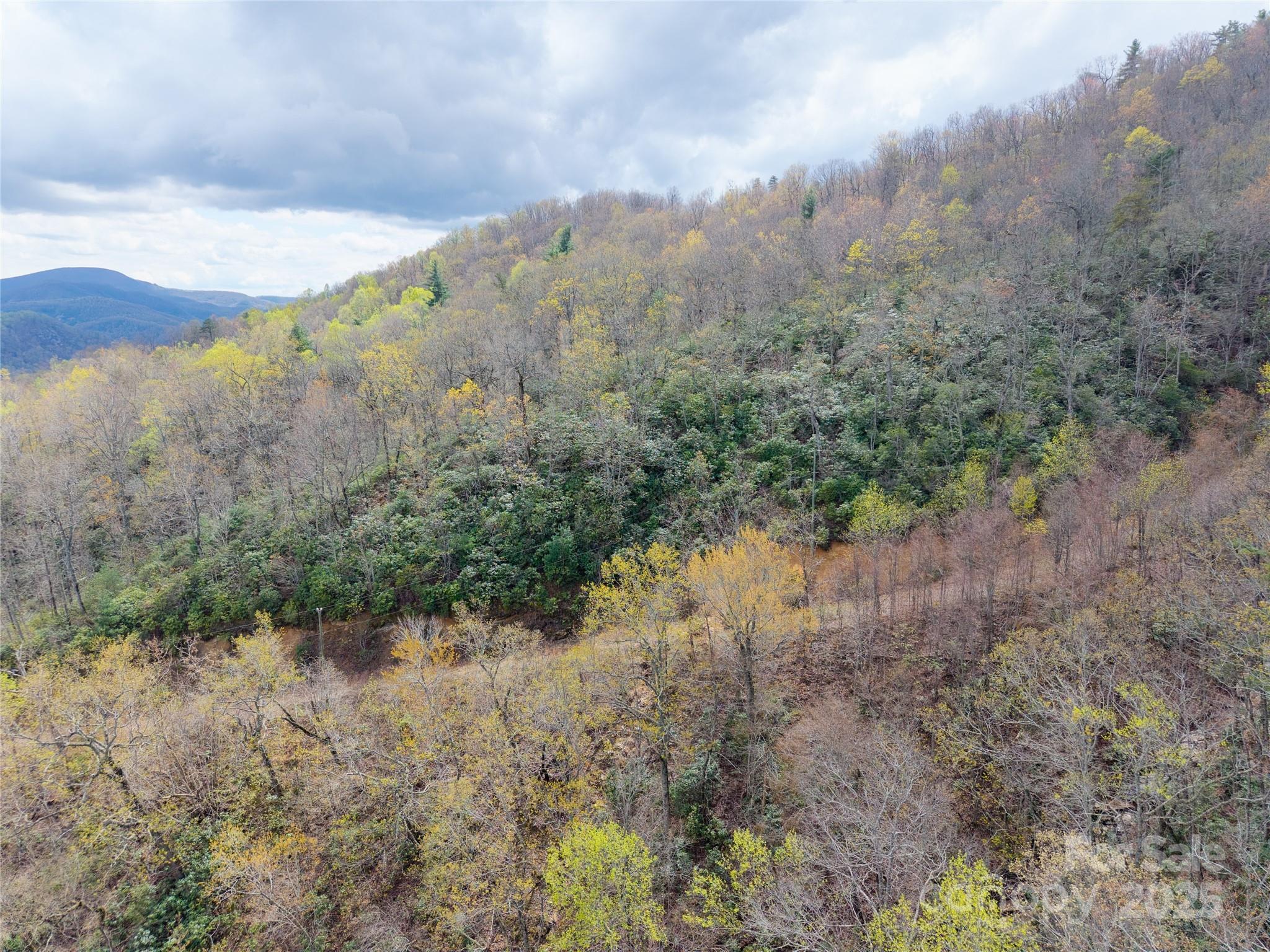 000 Nc 9 Highway Fairview NC 28730