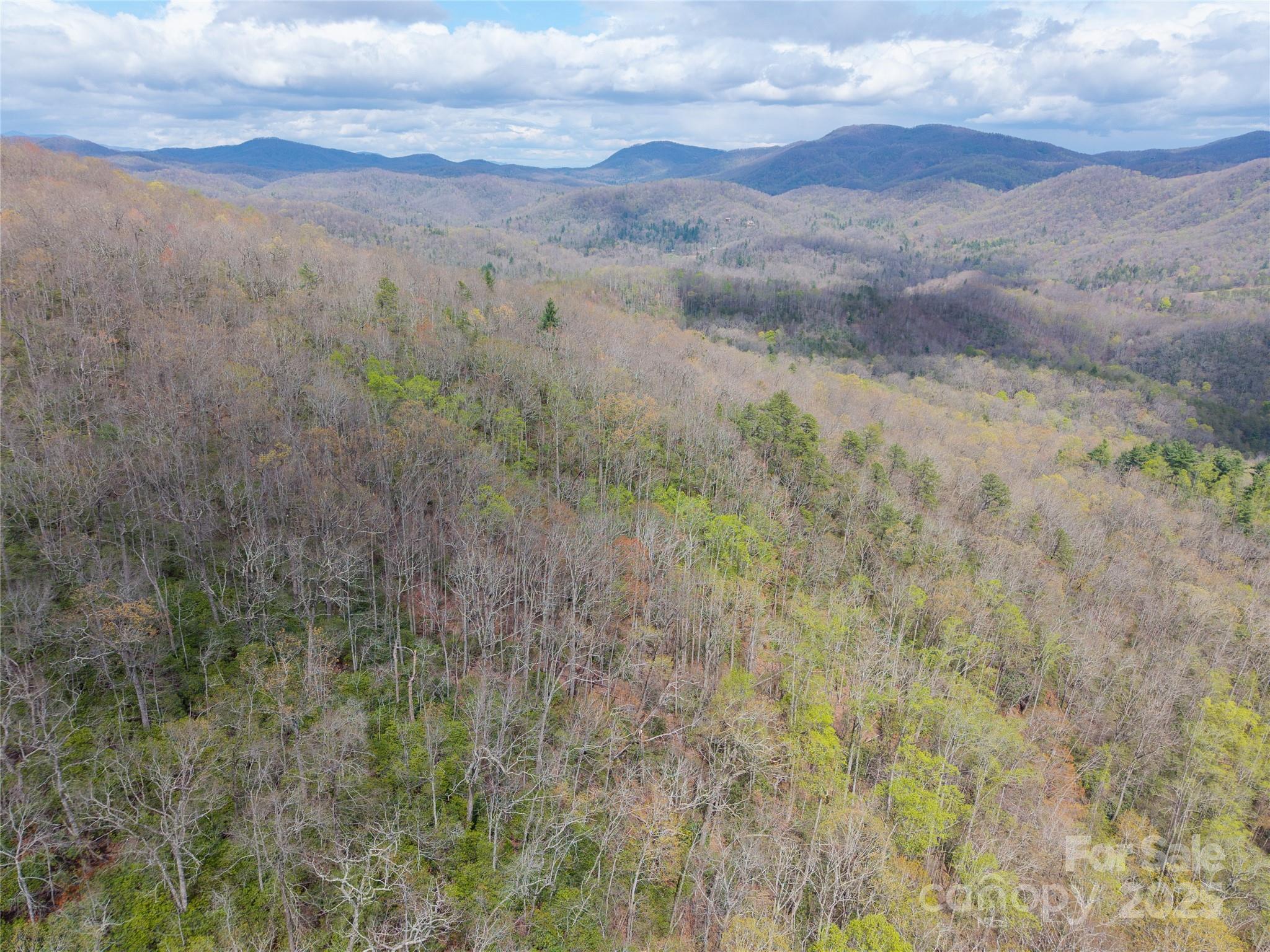 000 Nc 9 Highway Fairview NC 28730
