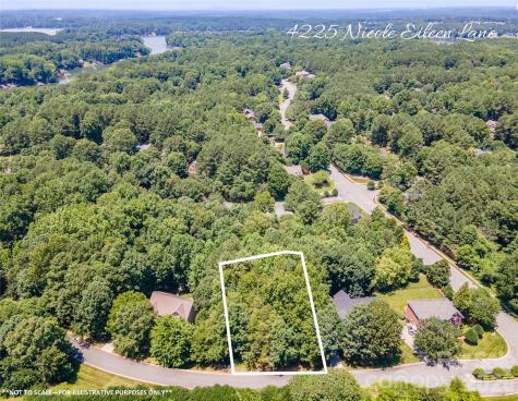 4225 Nicole Eileen Lane Charlotte NC 28216