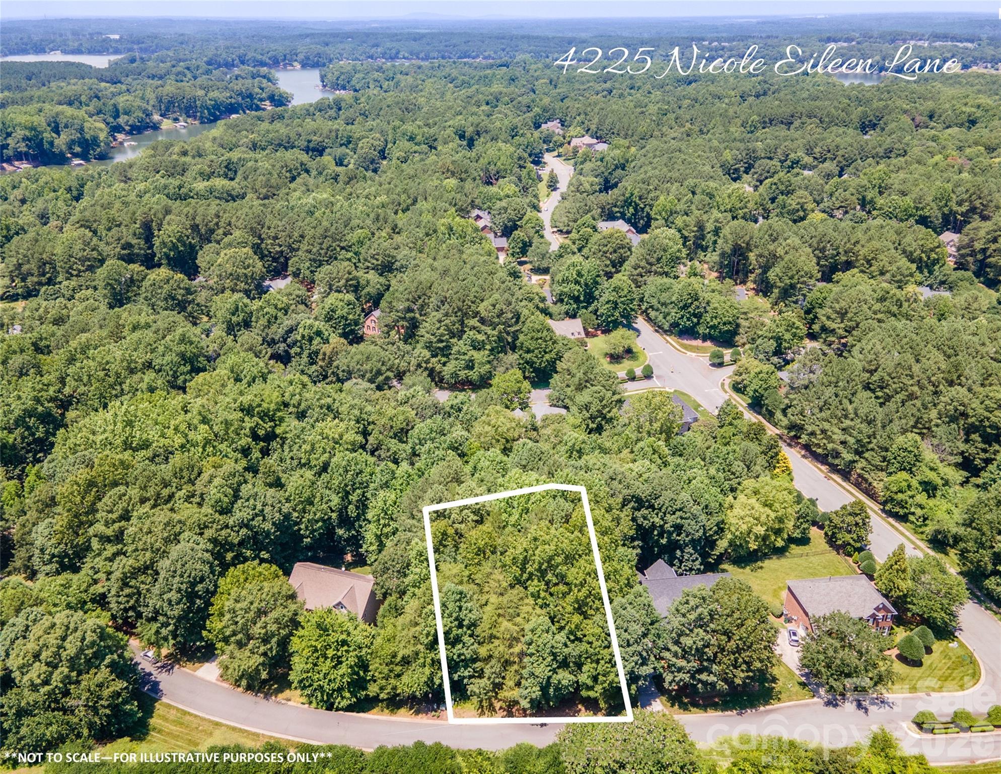 4225 Nicole Eileen Lane Charlotte NC 28216