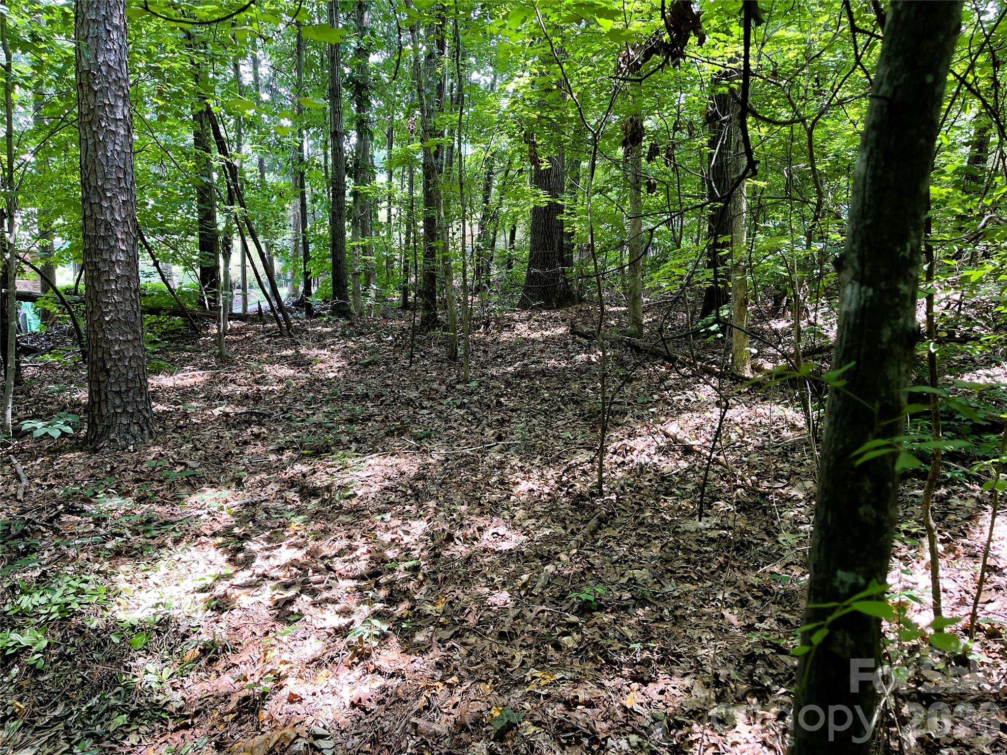 4225 Nicole Eileen Lane Charlotte NC 28216