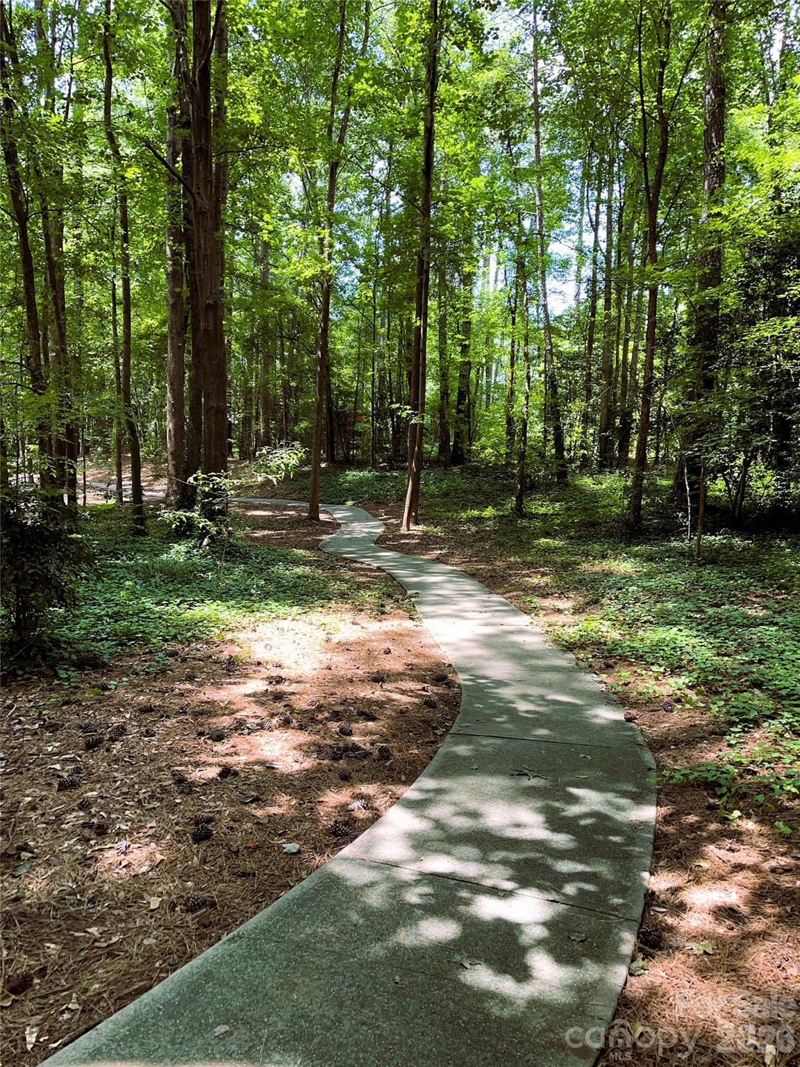 4225 Nicole Eileen Lane Charlotte NC 28216