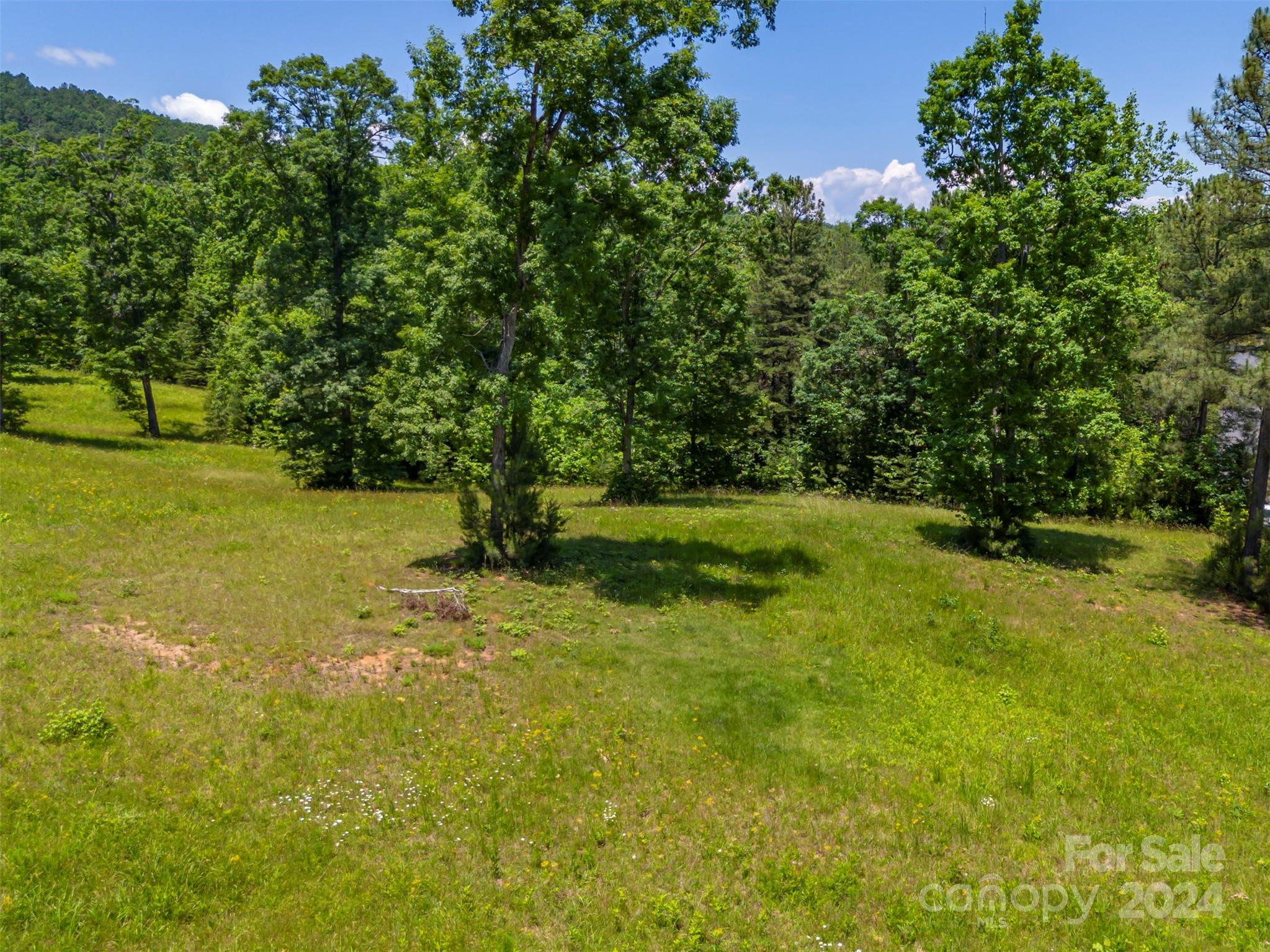 Lot 36 Mapleton Lane Columbus NC 28722