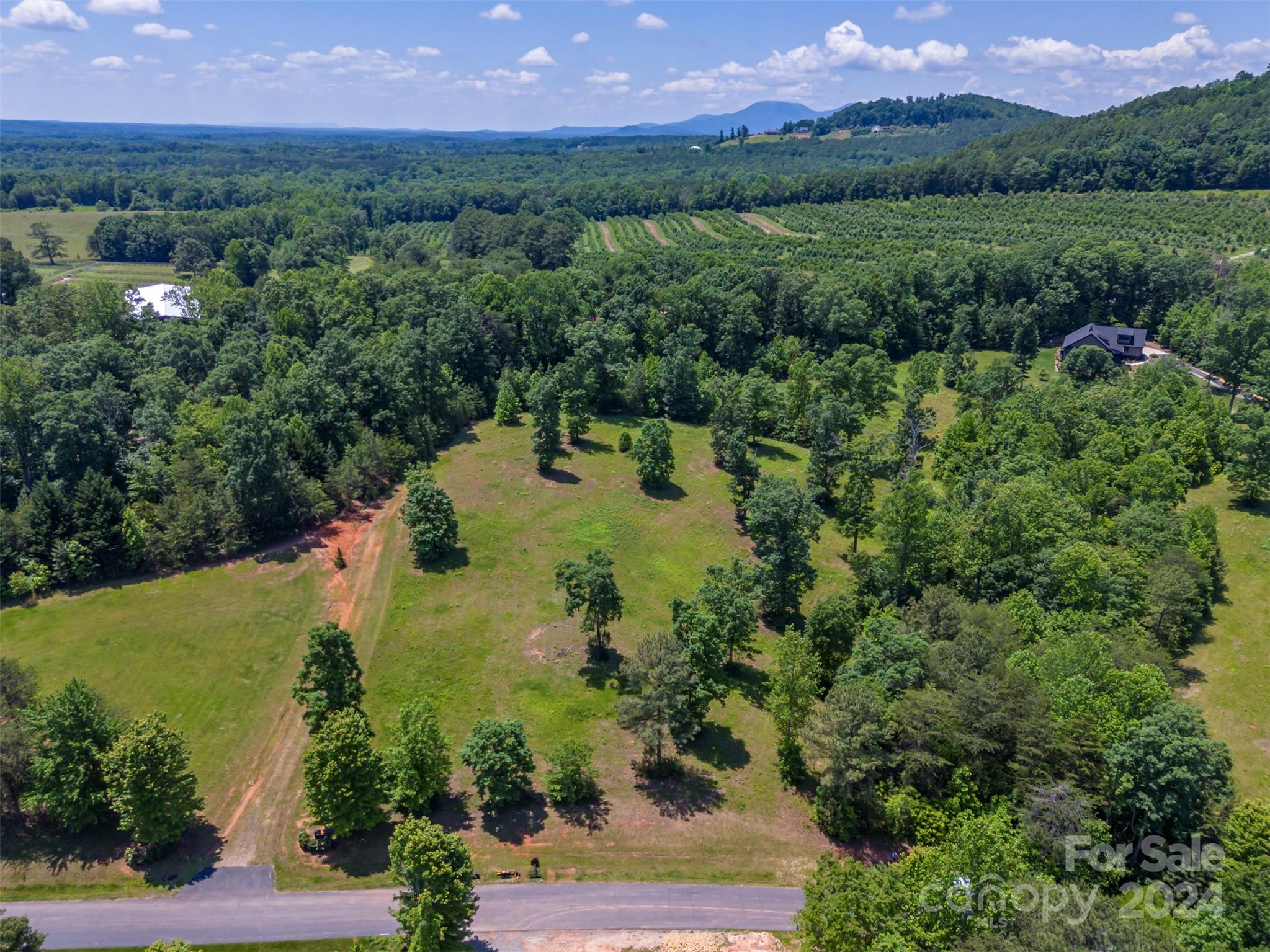 Lot 36 Mapleton Lane Columbus NC 28722