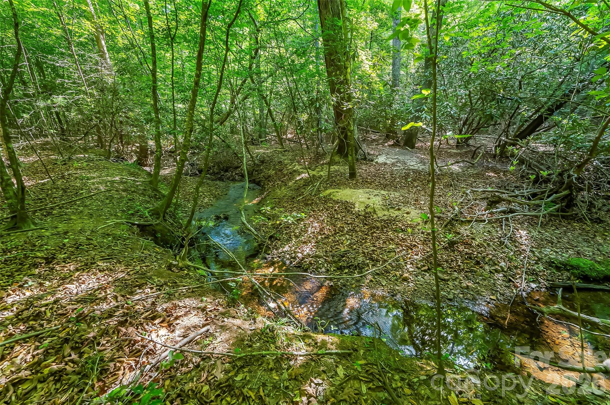 3495 Irish Hills Road Morganton NC 28655