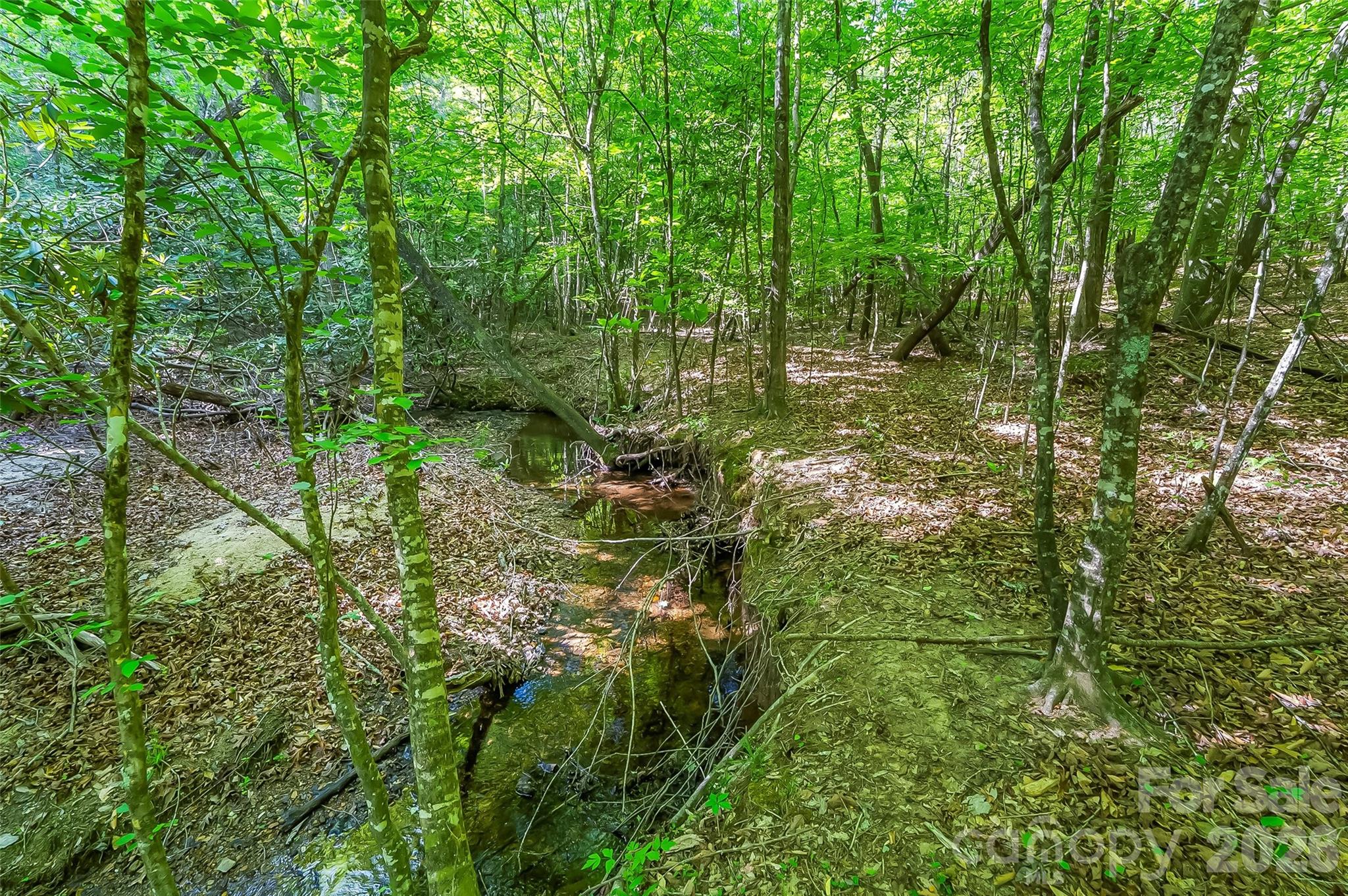 3495 Irish Hills Road Morganton NC 28655