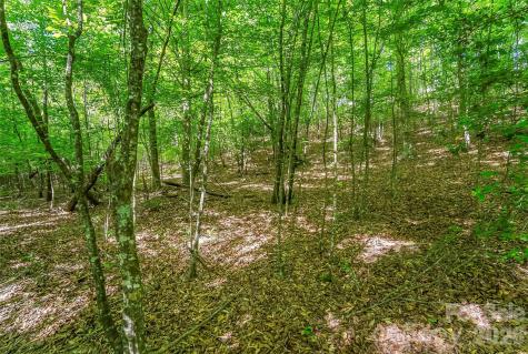 3495 Irish Hills Road Morganton NC 28655