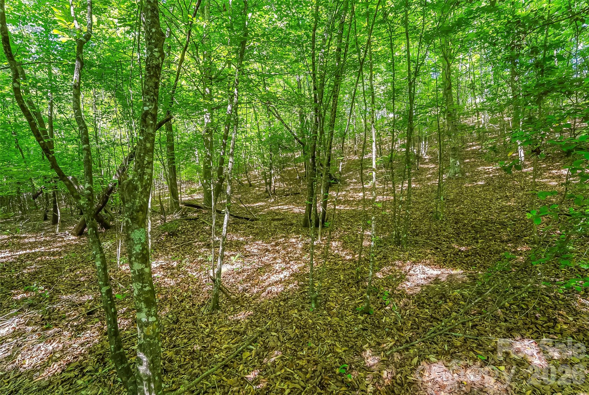 3495 Irish Hills Road Morganton NC 28655