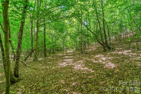3495 Irish Hills Road Morganton NC 28655
