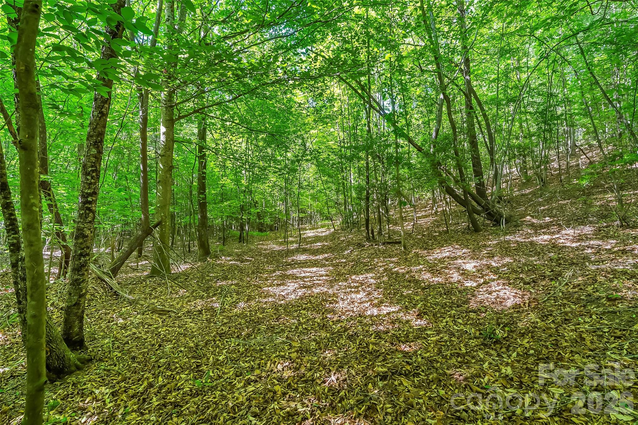 3495 Irish Hills Road Morganton NC 28655