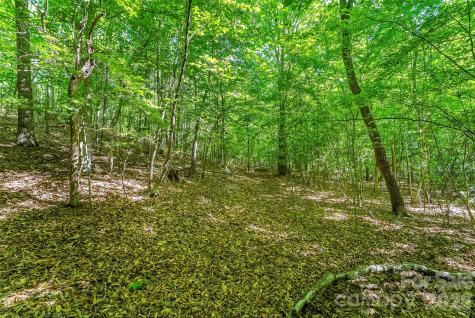 3495 Irish Hills Road Morganton NC 28655
