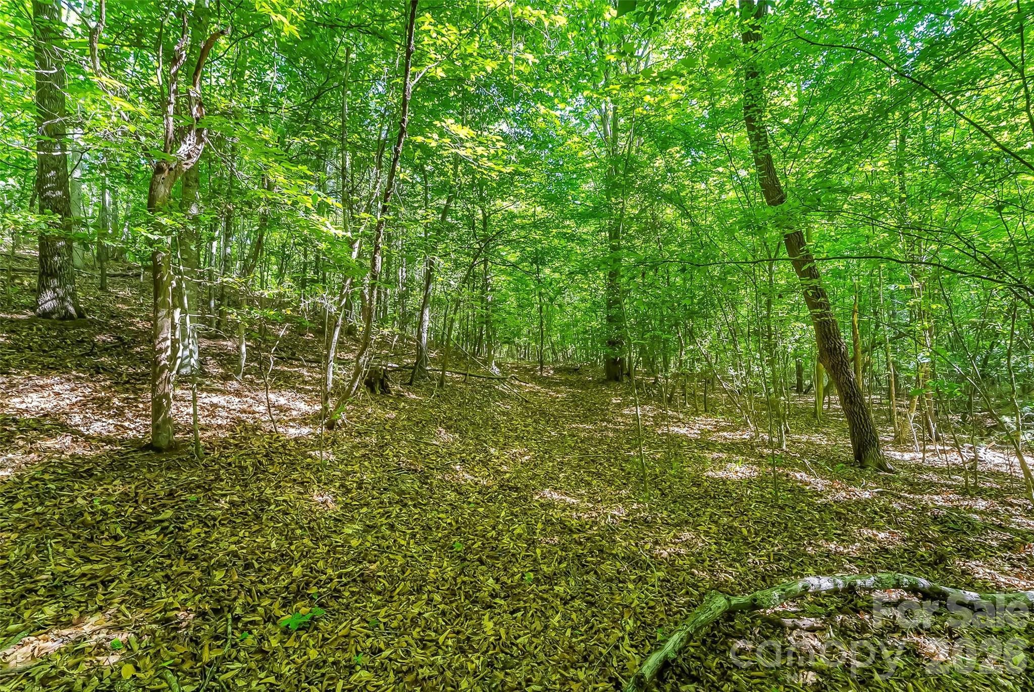 3495 Irish Hills Road Morganton NC 28655