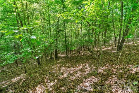 3495 Irish Hills Road Morganton NC 28655