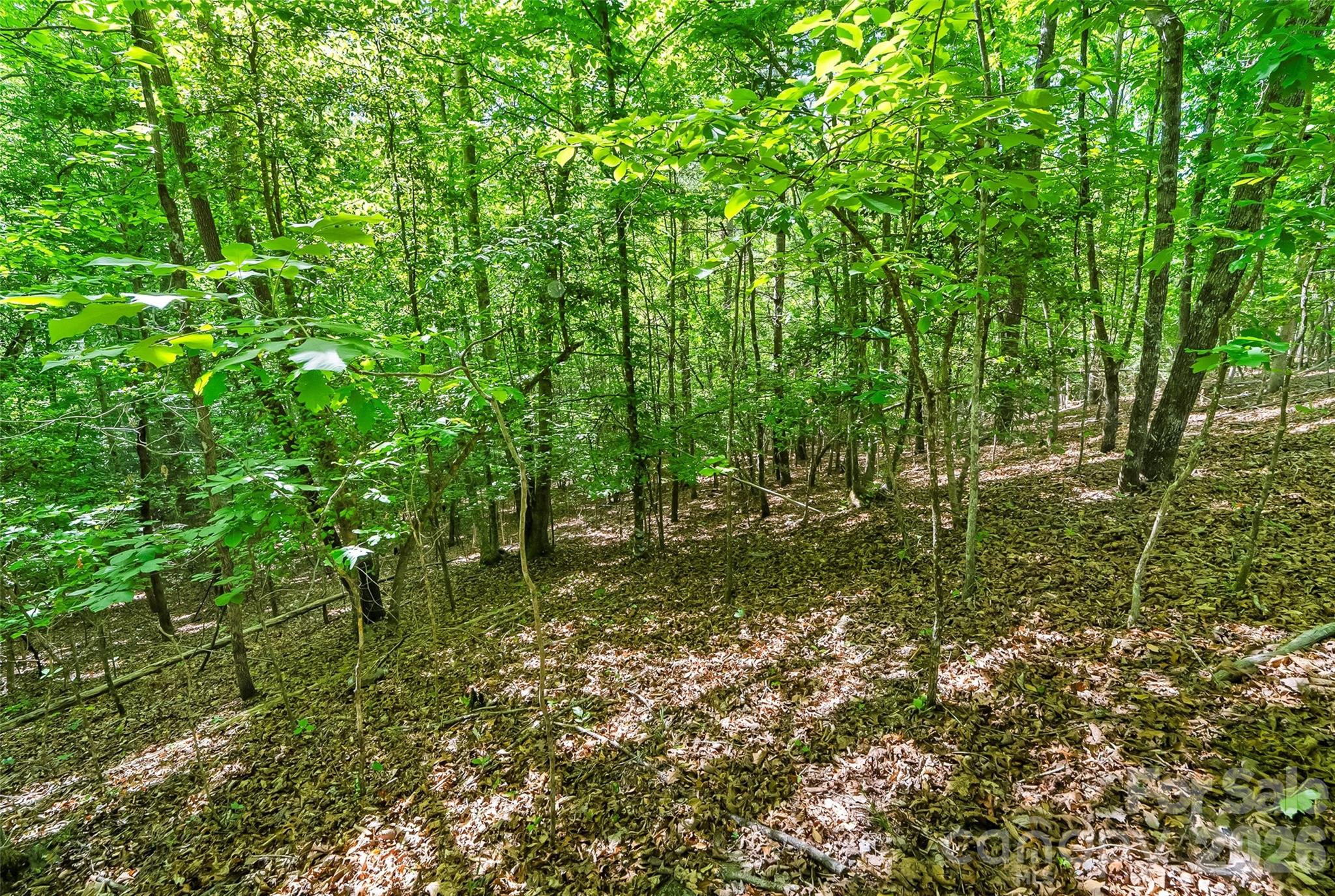 3495 Irish Hills Road Morganton NC 28655