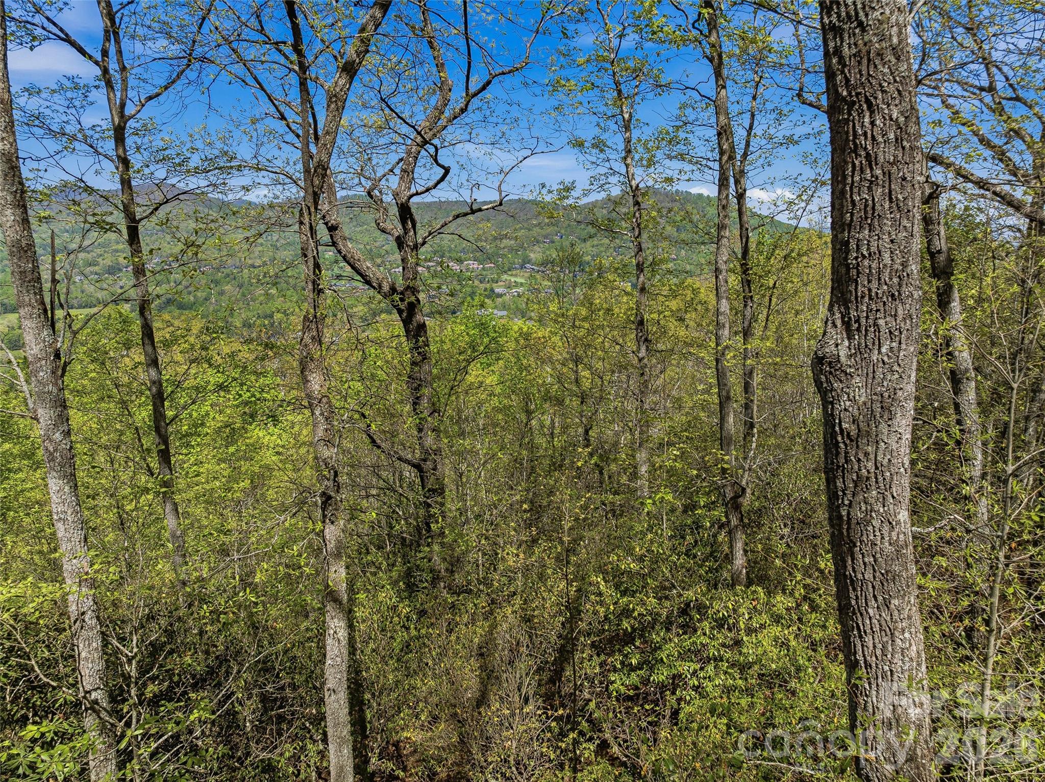 27 Deer Grass Court Arden NC 28704
