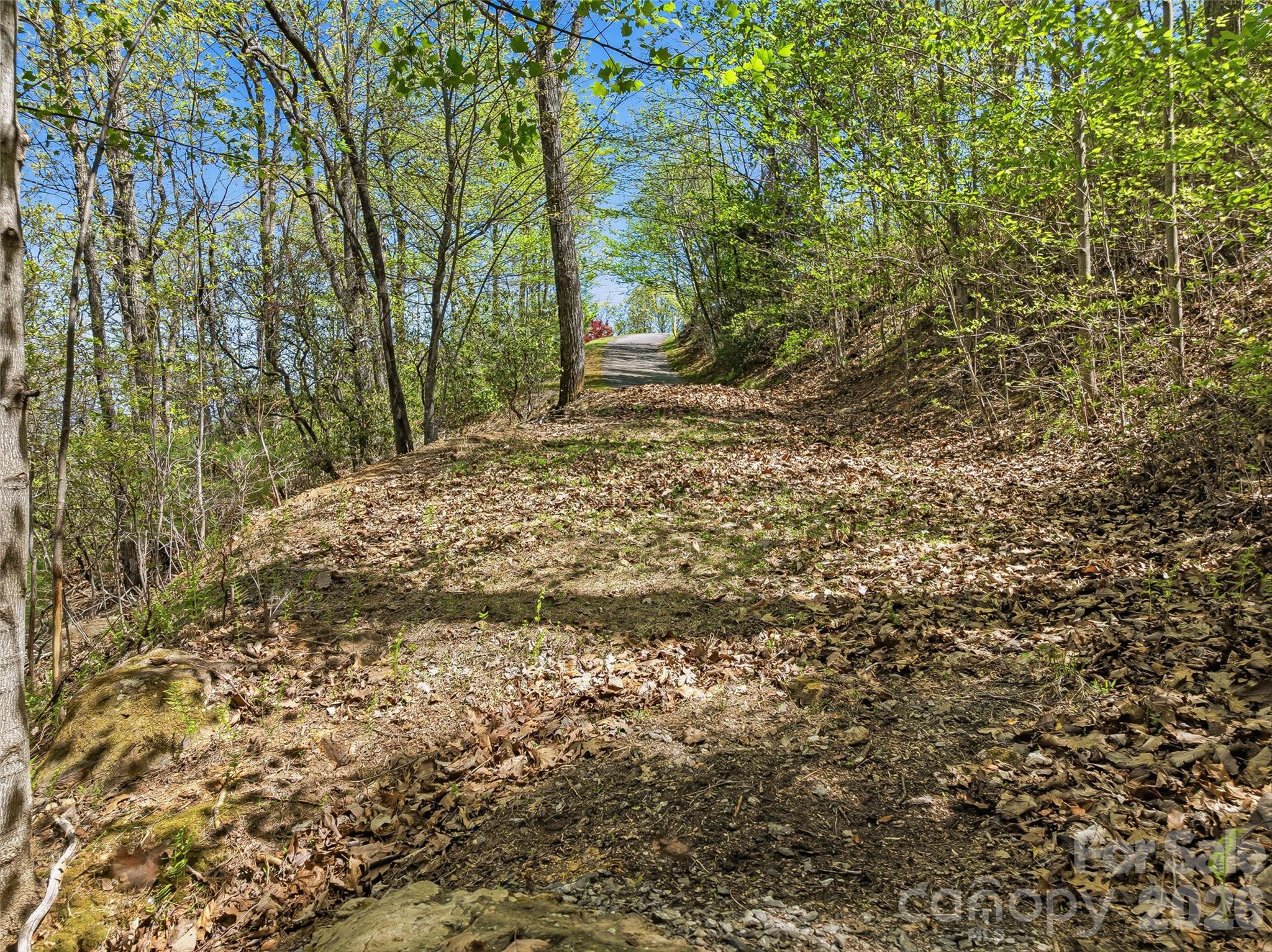 27 Deer Grass Court Arden NC 28704