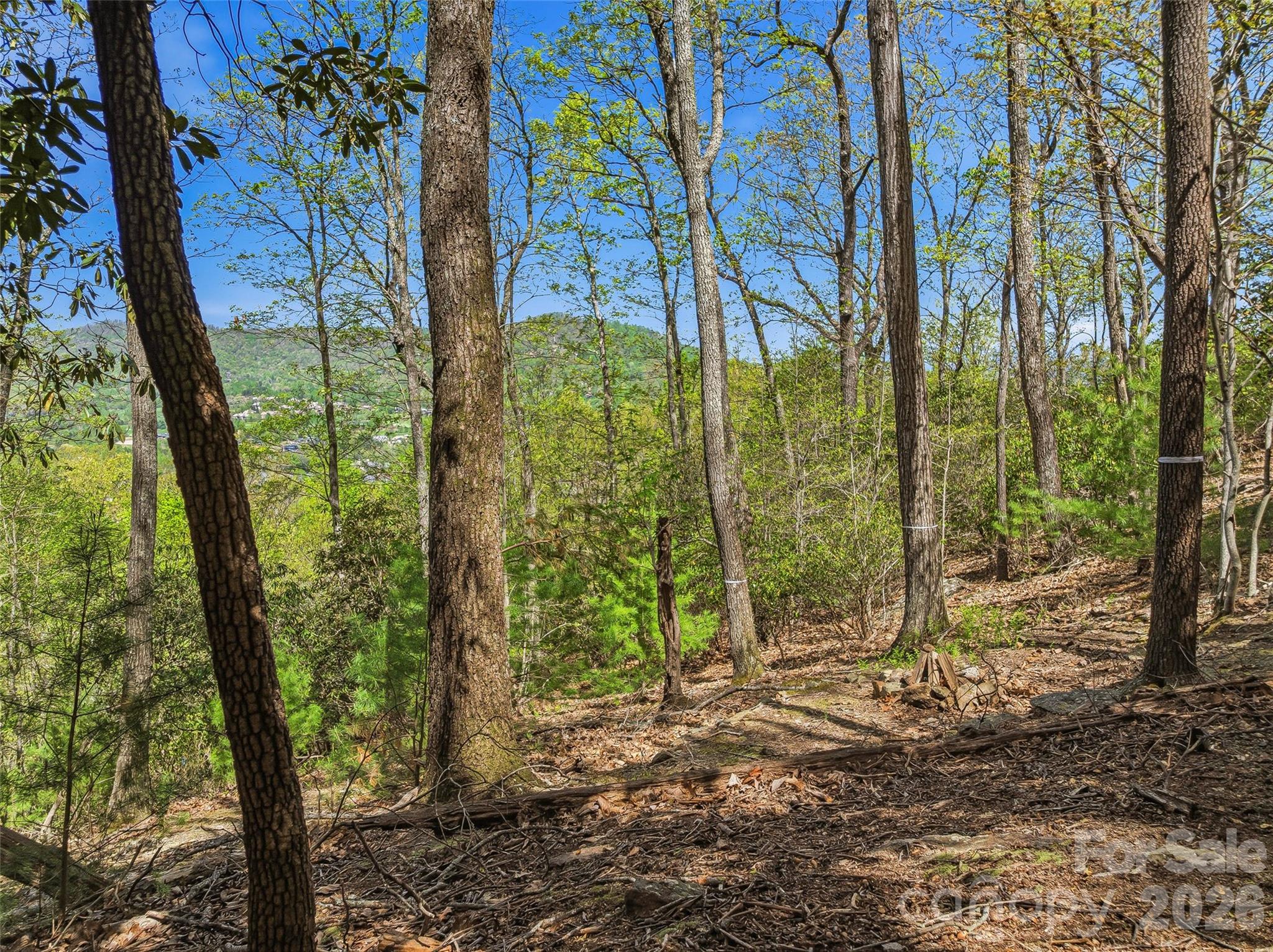 27 Deer Grass Court Arden NC 28704