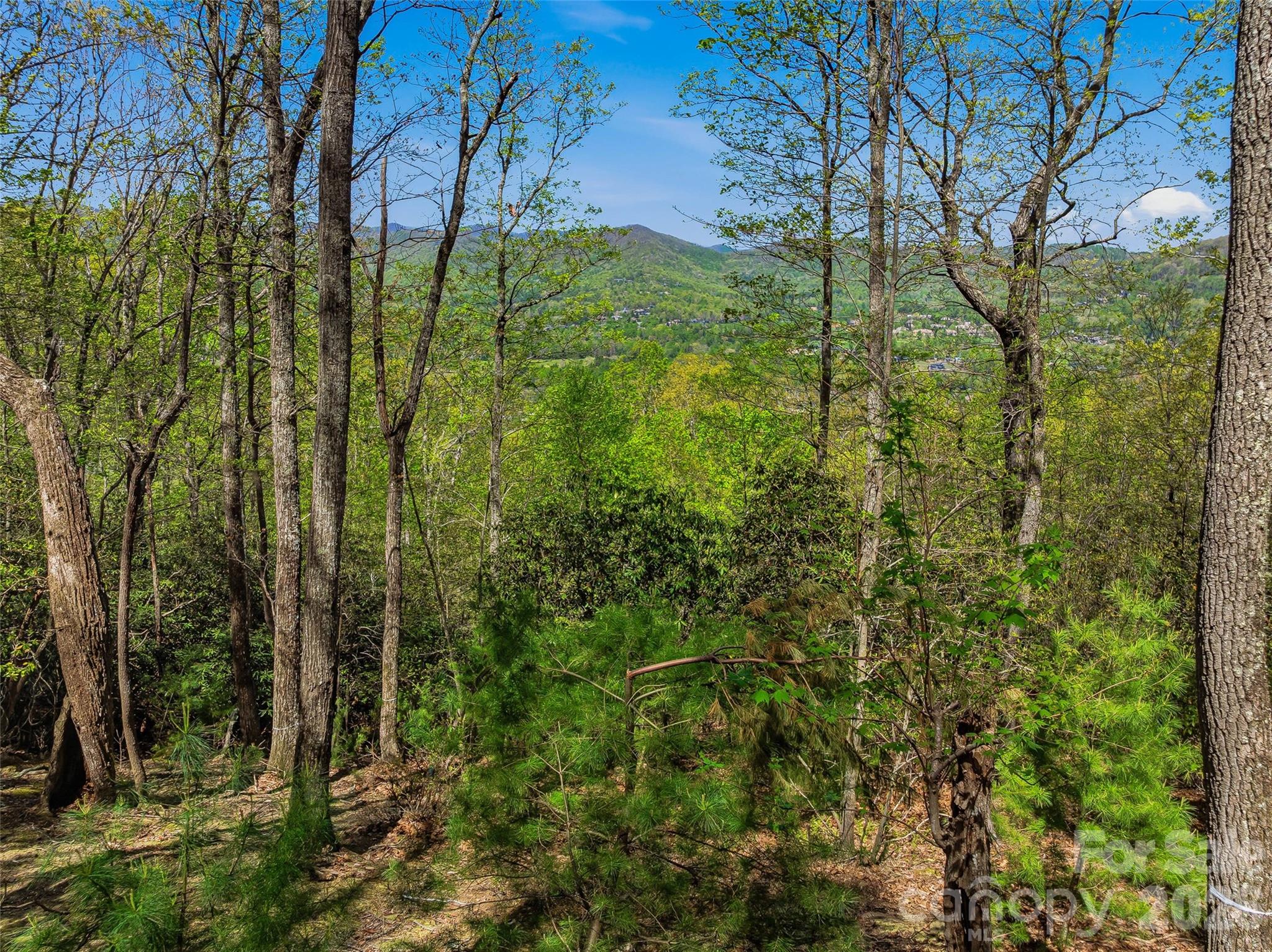 27 Deer Grass Court Arden NC 28704