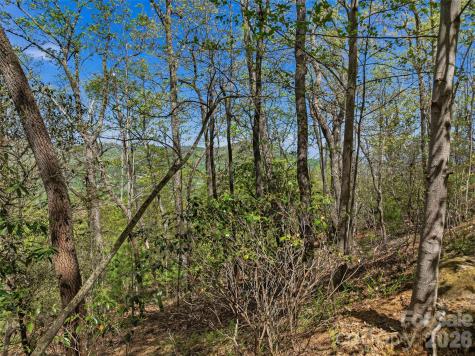 27 Deer Grass Court Arden NC 28704