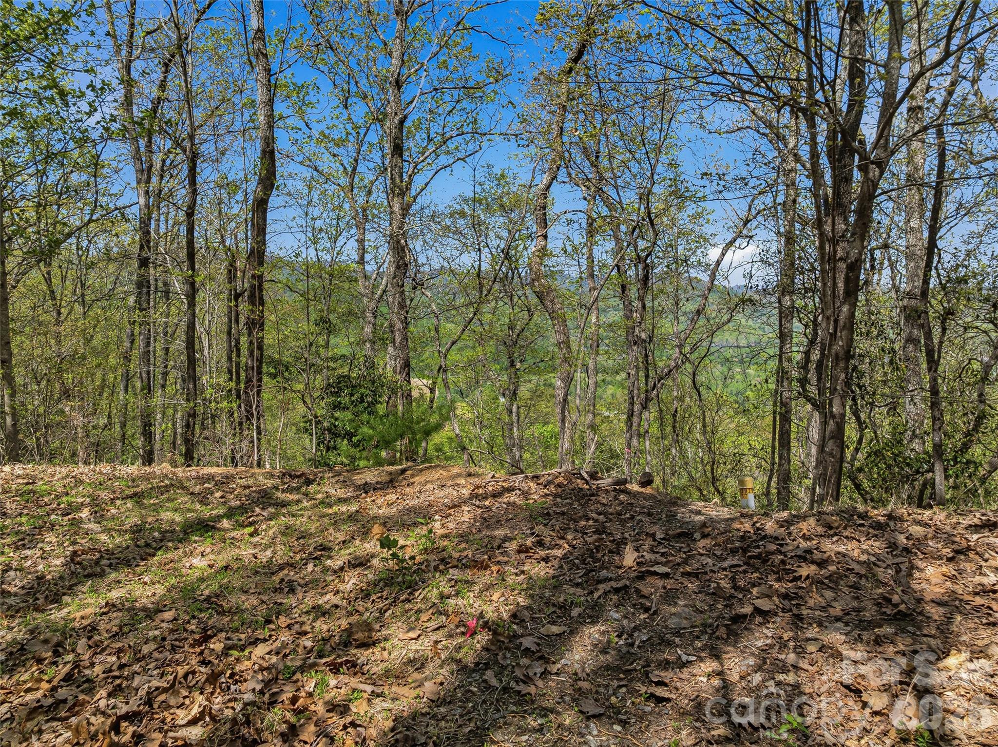 27 Deer Grass Court Arden NC 28704