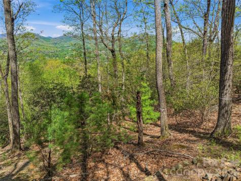 27 Deer Grass Court Arden NC 28704