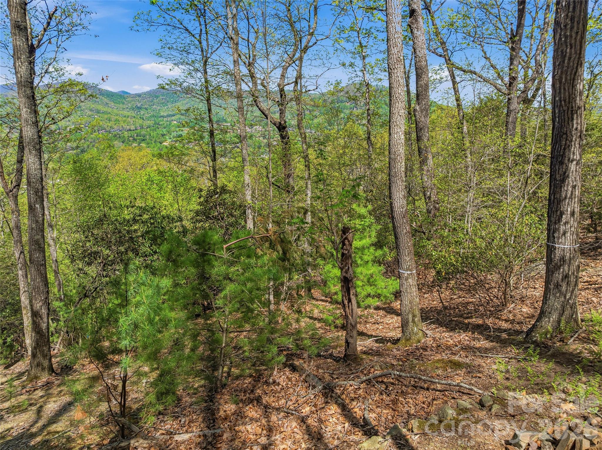 27 Deer Grass Court Arden NC 28704