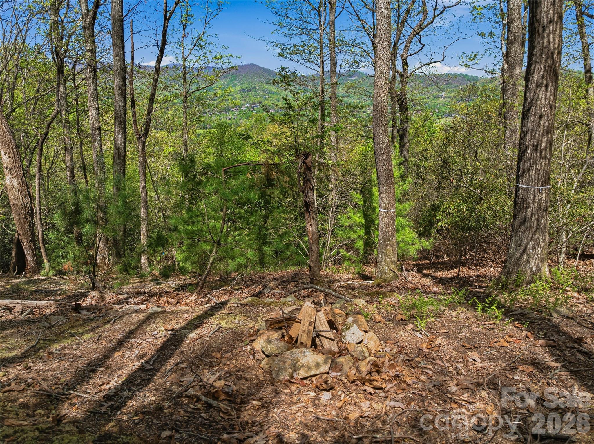 27 Deer Grass Court Arden NC 28704