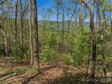 27 Deer Grass Court Arden NC 28704
