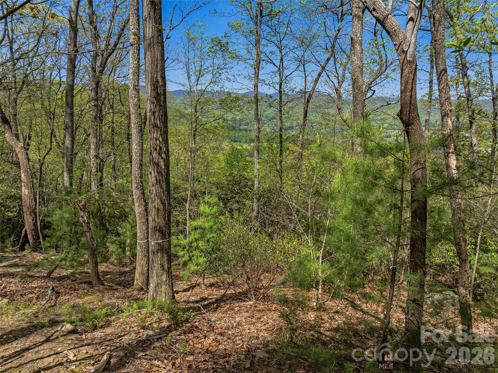 27 Deer Grass Court Arden NC 28704