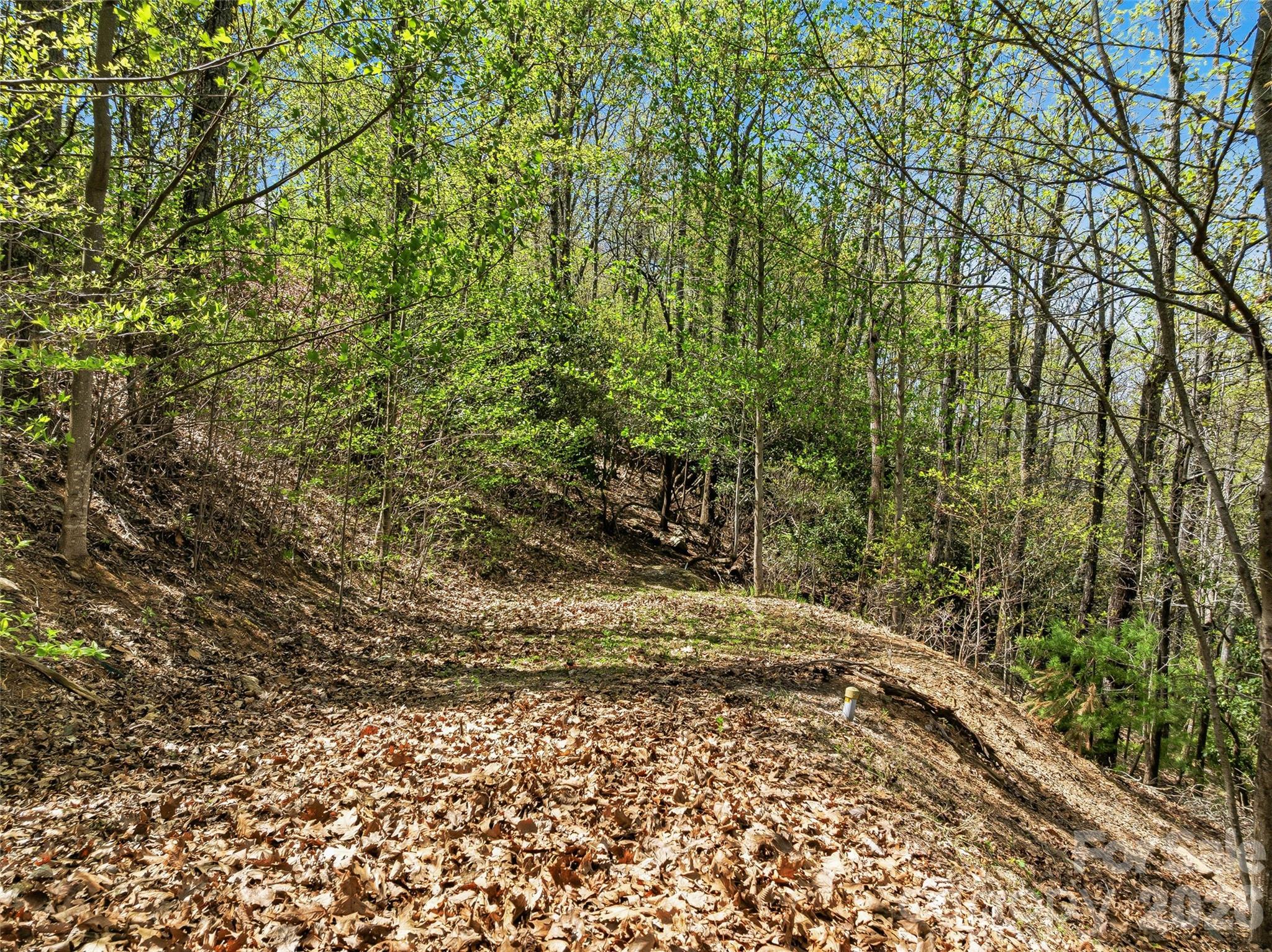 27 Deer Grass Court Arden NC 28704