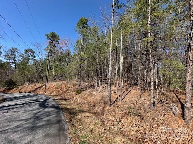 0 Hawthorne Drive Lake Lure NC 28746