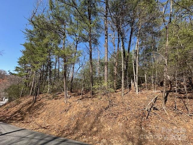 0 Hawthorne Drive Lake Lure NC 28746