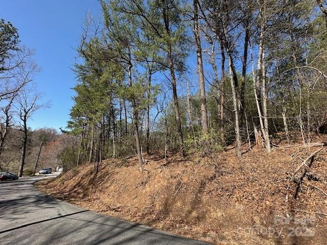 0 Hawthorne Drive Lake Lure NC 28746