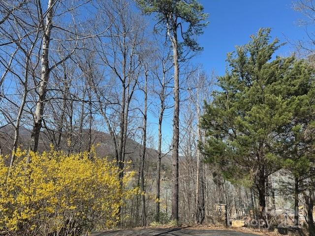 0 Hawthorne Drive Lake Lure NC 28746