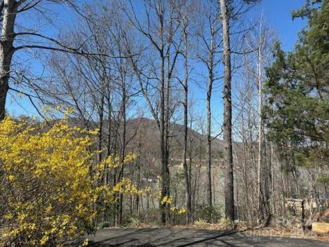 0 Hawthorne Drive Lake Lure NC 28746