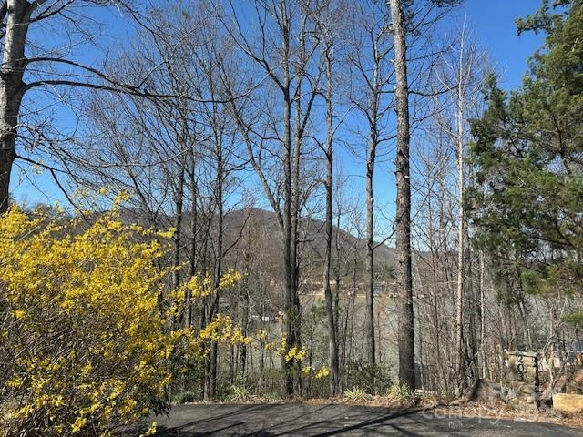 0 Hawthorne Drive Lake Lure NC 28746