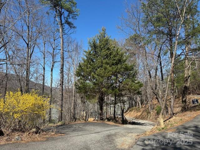0 Hawthorne Drive Lake Lure NC 28746