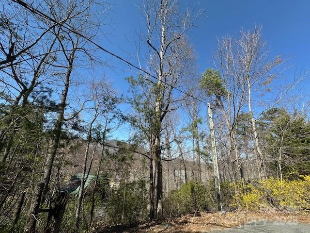 0 Hawthorne Drive Lake Lure NC 28746