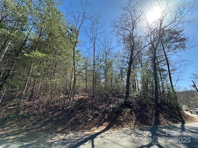 0 Hawthorne Drive Lake Lure NC 28746