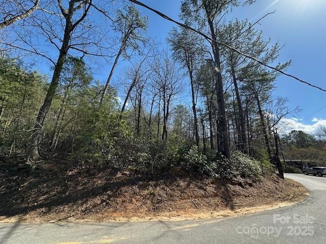 0 Hawthorne Drive Lake Lure NC 28746