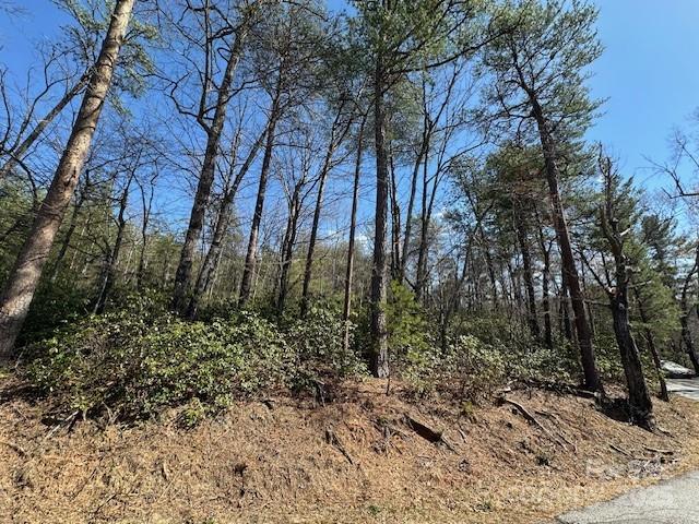 0 Hawthorne Drive Lake Lure NC 28746