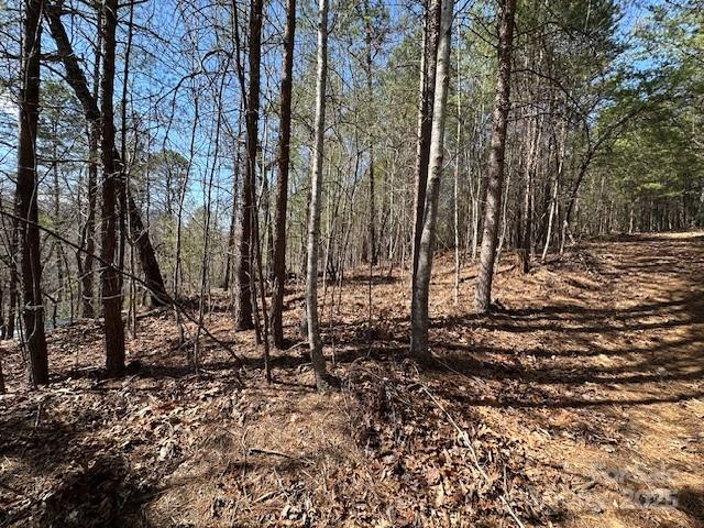 0 Hawthorne Drive Lake Lure NC 28746