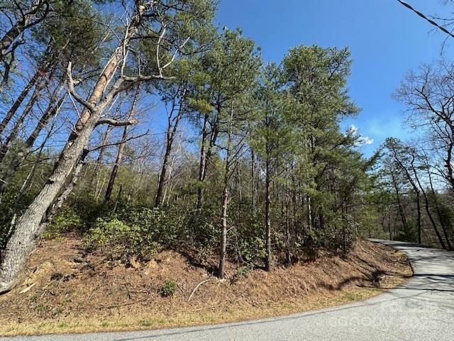 0 Hawthorne Drive Lake Lure NC 28746