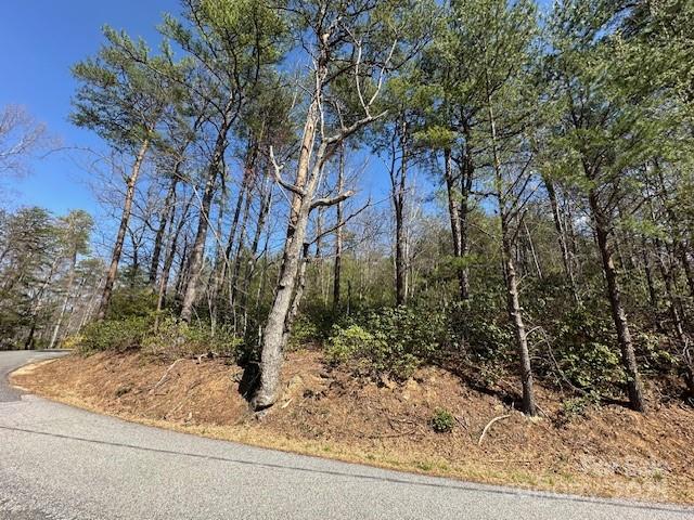 0 Hawthorne Drive Lake Lure NC 28746